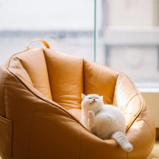 Orange Sofa Chair