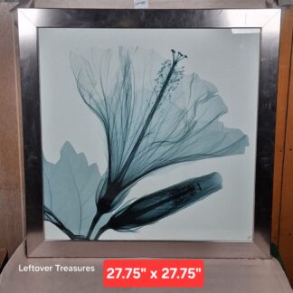 b95- "Hibiscus & Bud" X-ray art print by Steven Myers